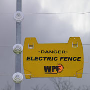 fence